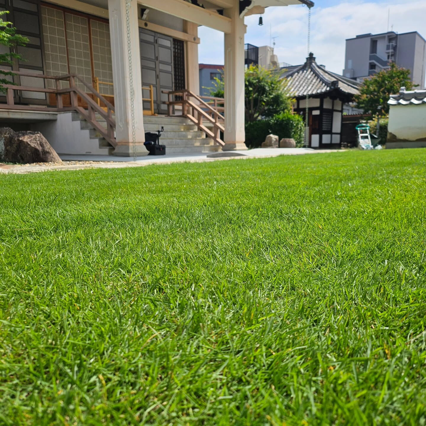 庭園管理　京都市上京区の勝厳院さまにて、庭園管理をさせていた