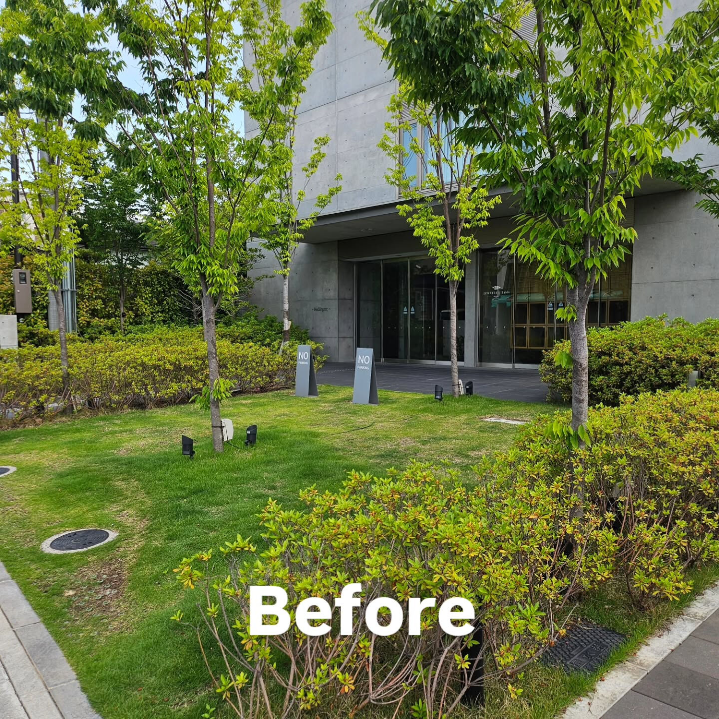 庭園管理　京田辺市の集合住宅にて庭園管理をさせていただきまし