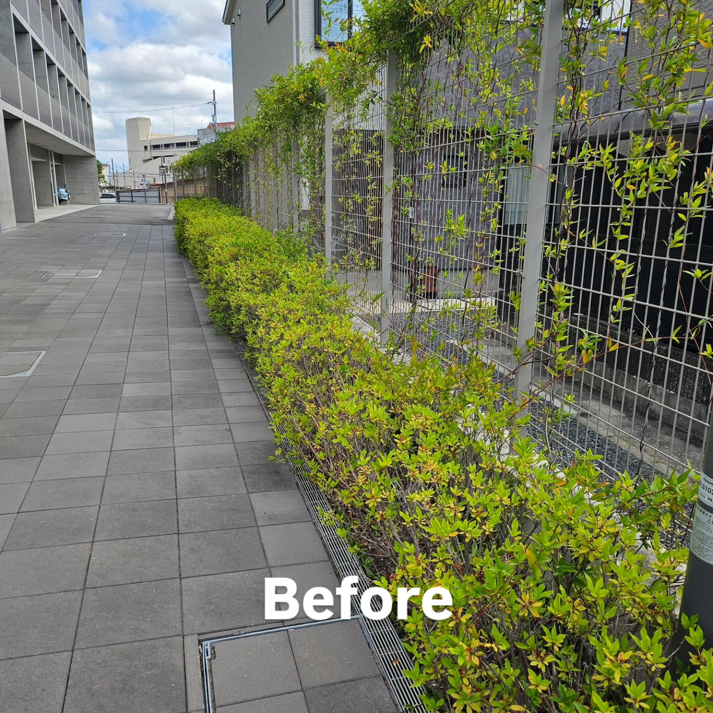 庭園管理　京田辺市の集合住宅にて庭園管理をさせていただきまし