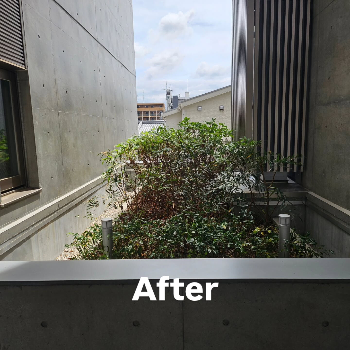 庭園管理　京田辺市の集合住宅にて庭園管理をさせていただきまし