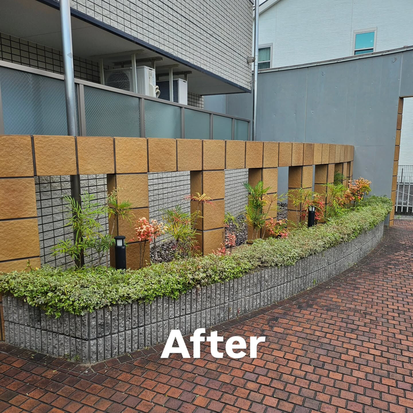 庭園管理　京都市西京区にて集合住宅の庭園管理をさせていただき