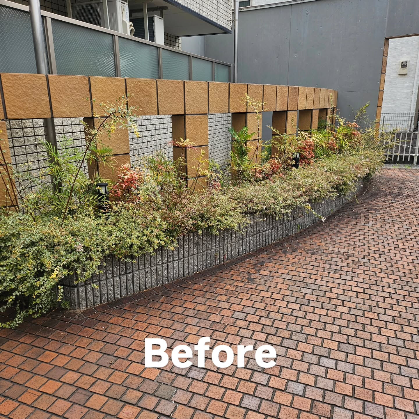 庭園管理　京都市西京区にて集合住宅の庭園管理をさせていただき