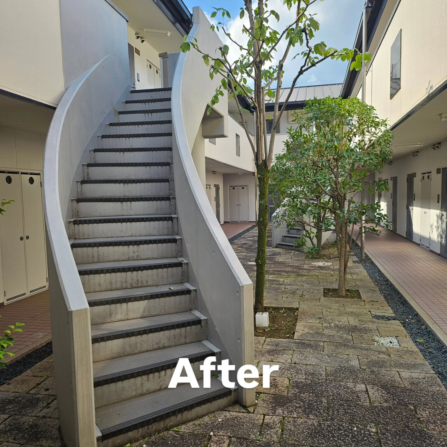 庭園管理　京都市西京区にて集合住宅の庭園管理をさせていただき