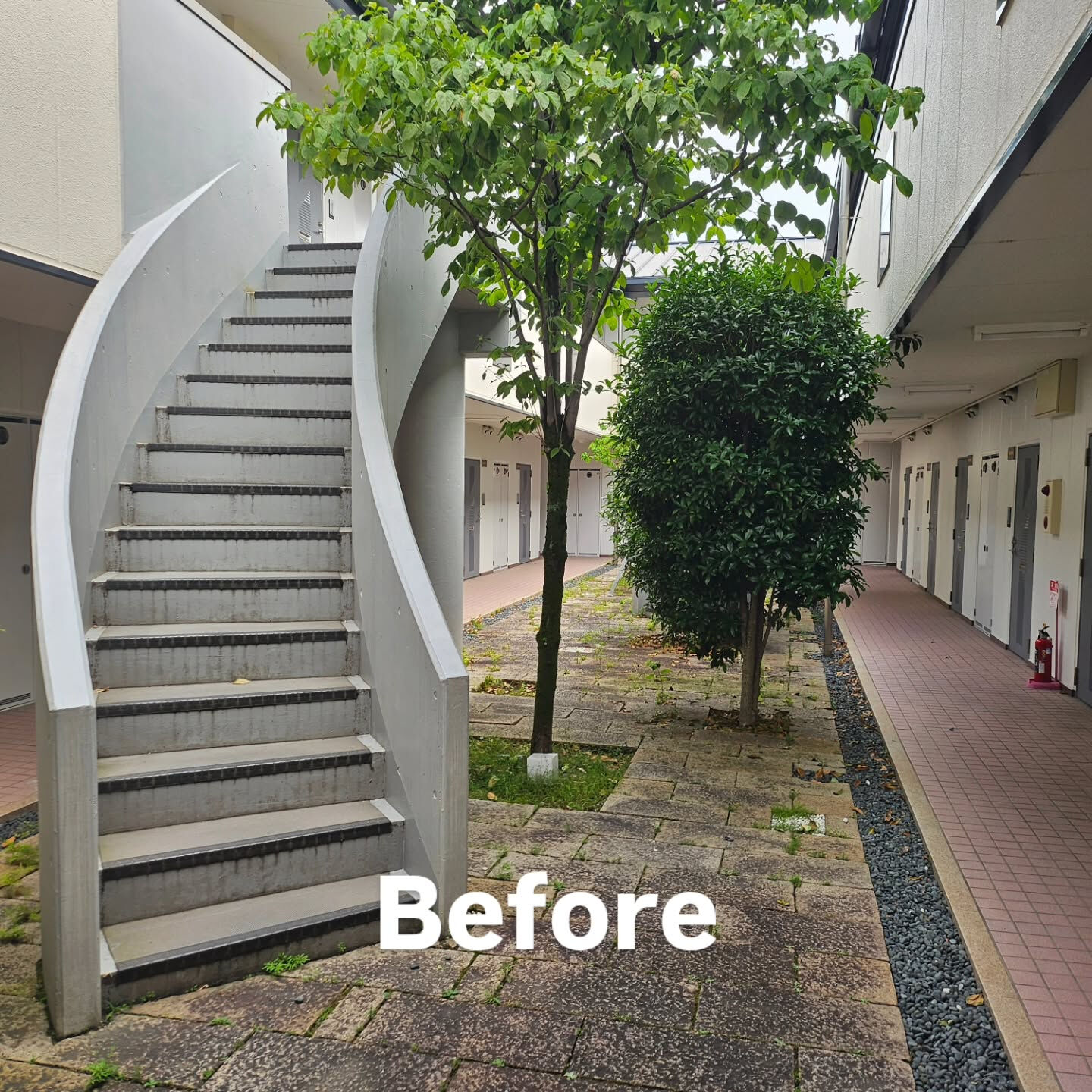 庭園管理　京都市西京区にて集合住宅の庭園管理をさせていただき