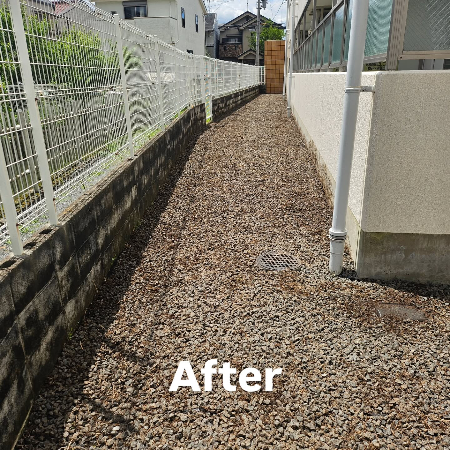 庭園管理　京都市西京区にて集合住宅の庭園管理をさせていただき