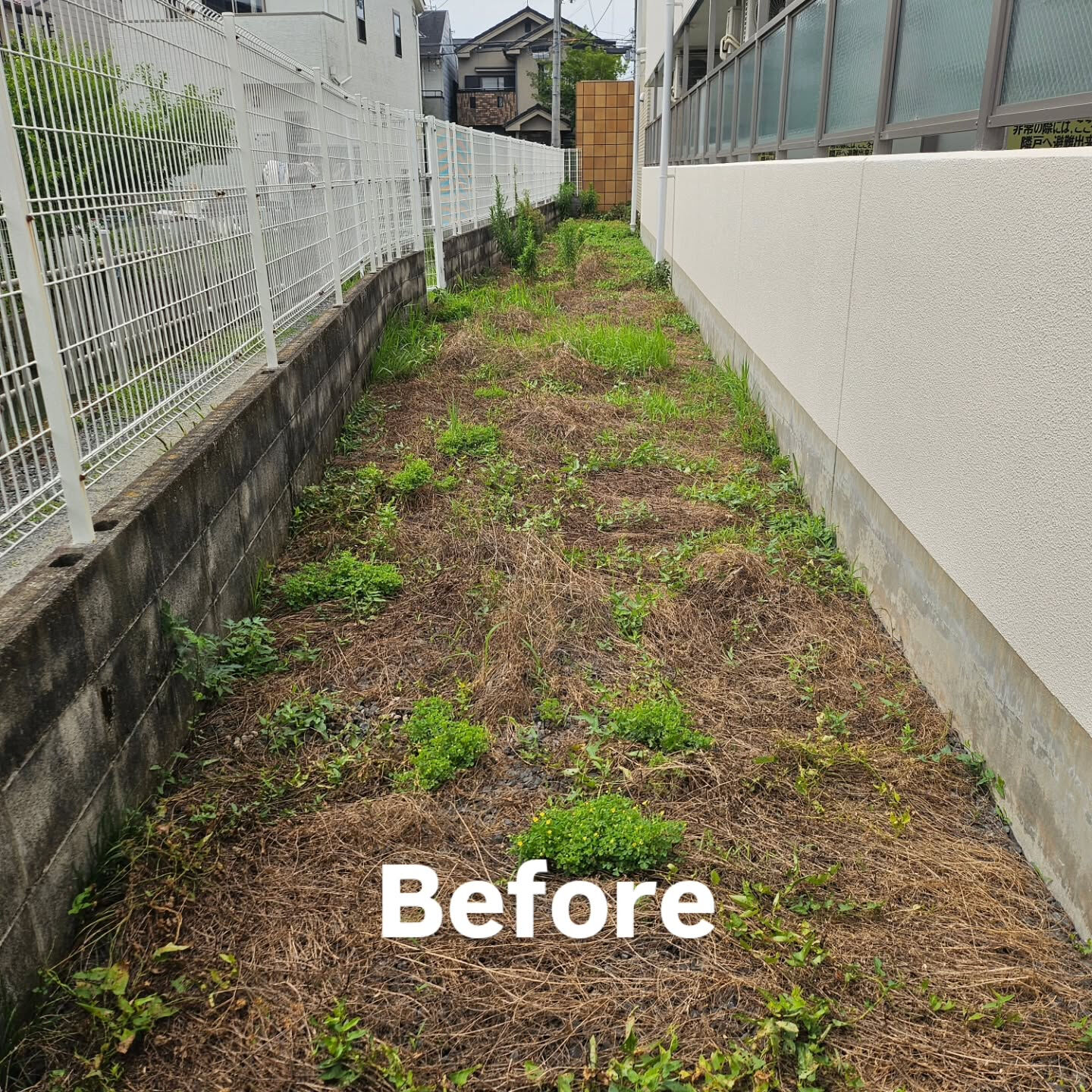 庭園管理　京都市西京区にて集合住宅の庭園管理をさせていただき