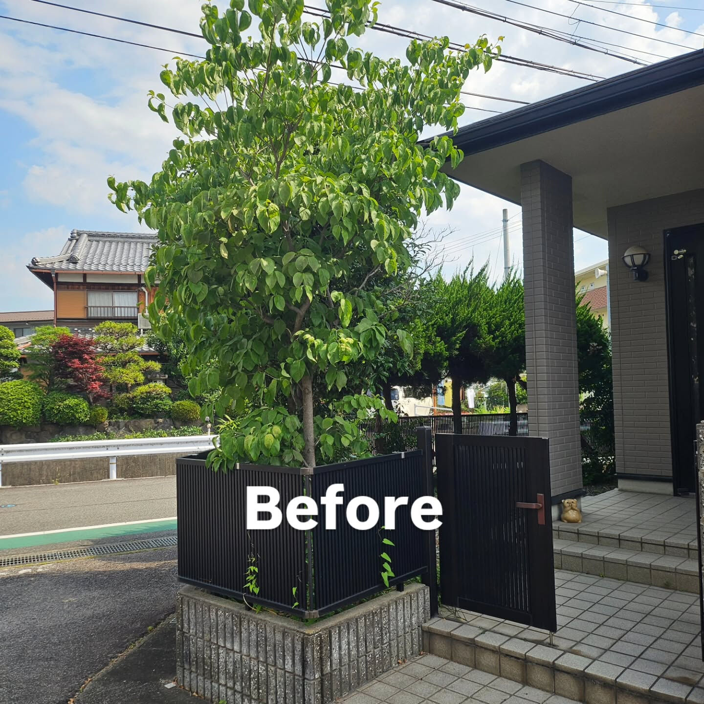 庭園管理　滋賀県守山市にて庭園管理をさせていただきました