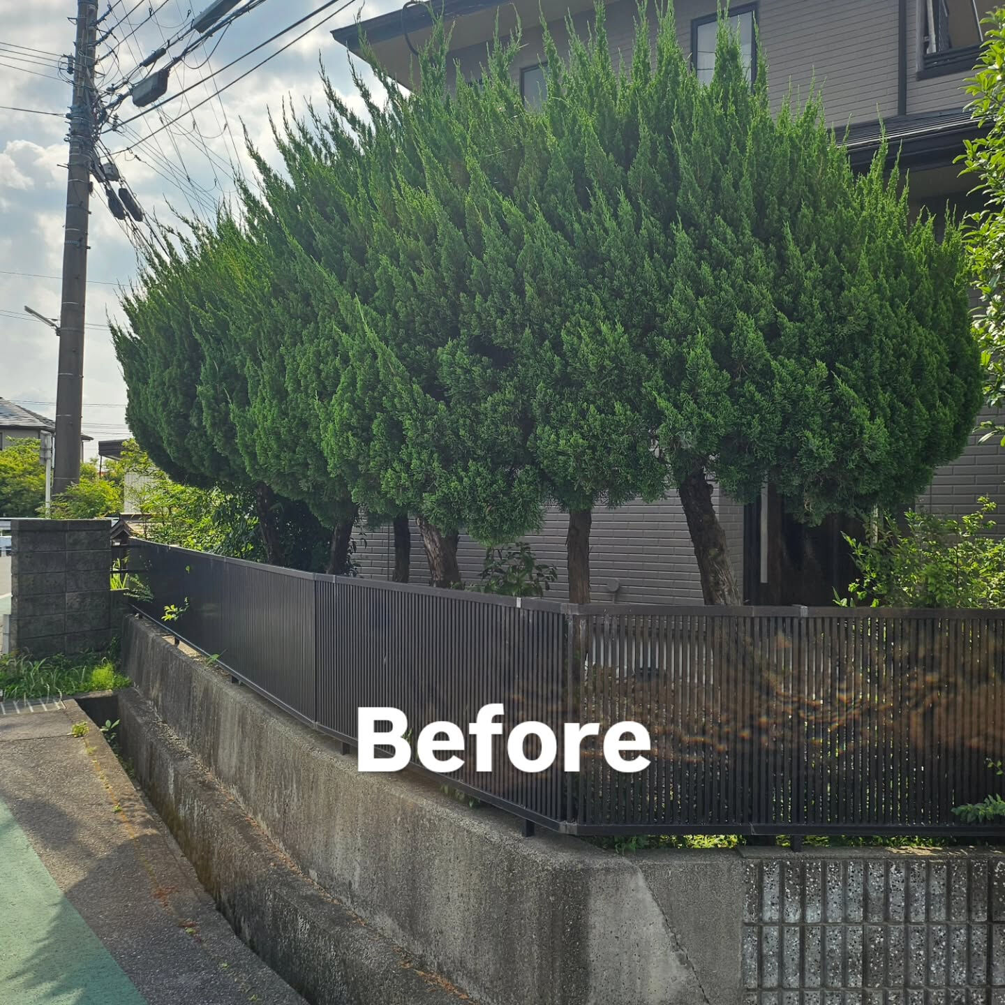 庭園管理　滋賀県守山市にて庭園管理をさせていただきました