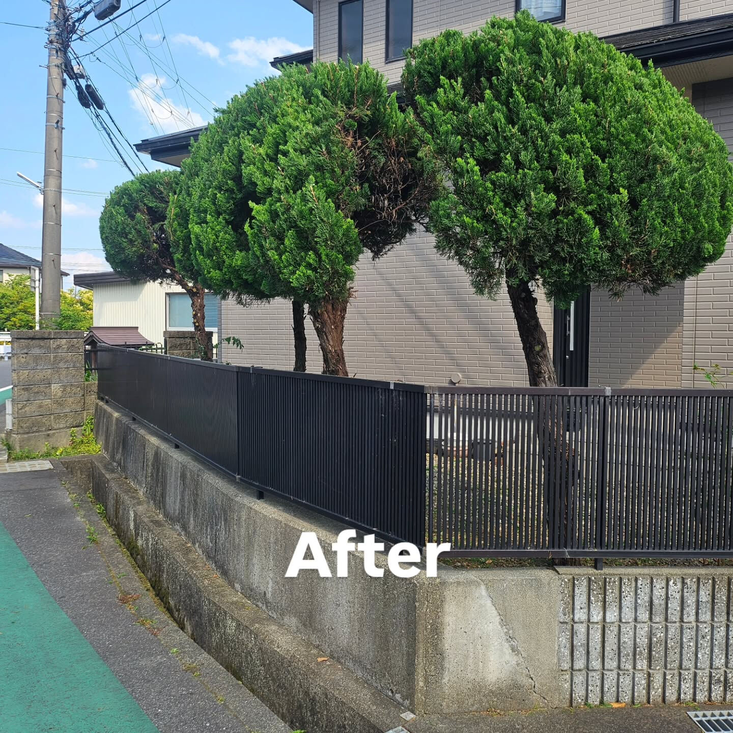 庭園管理　滋賀県守山市にて庭園管理をさせていただきました