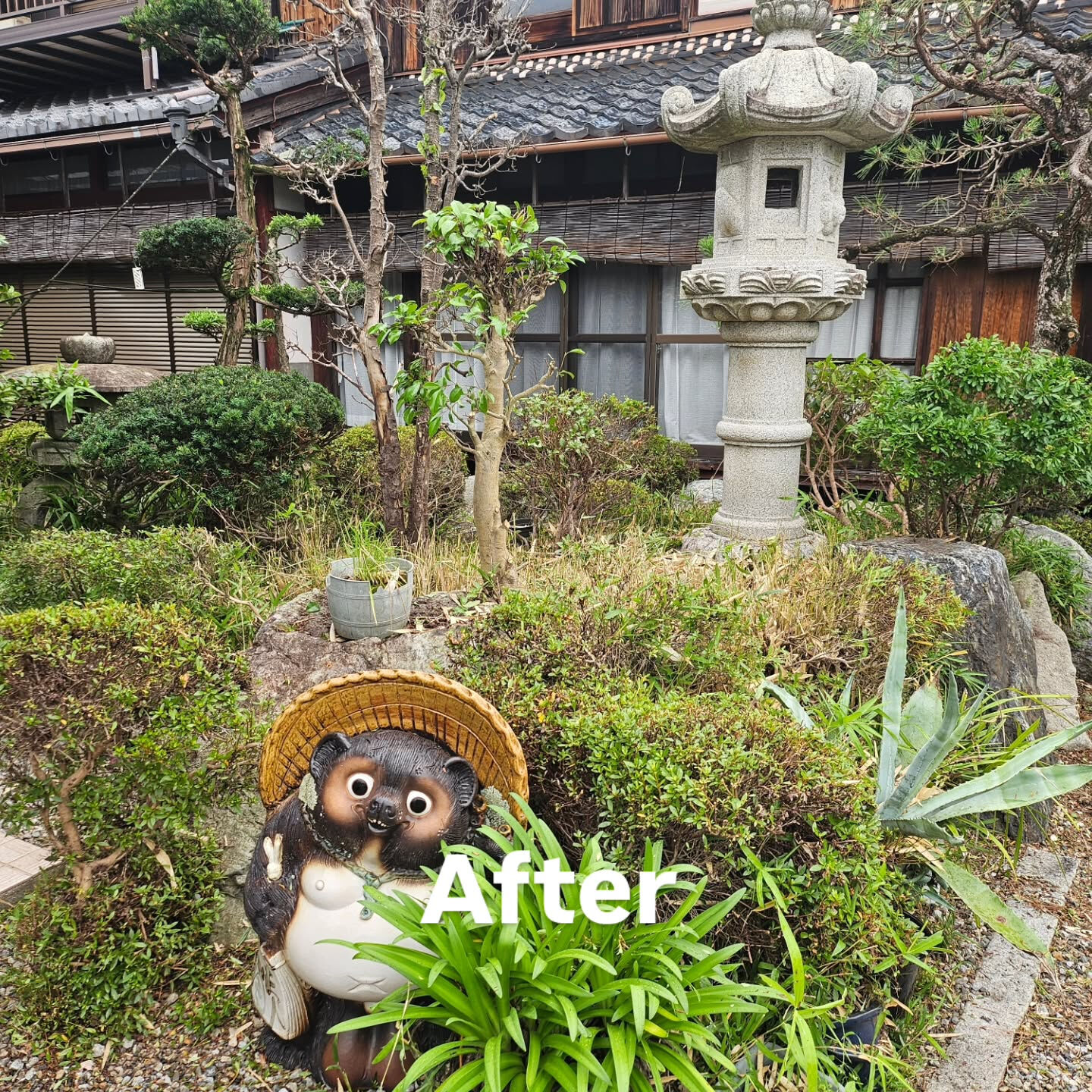 庭園管理　滋賀県彦根市にて庭園管理をさせていただきました