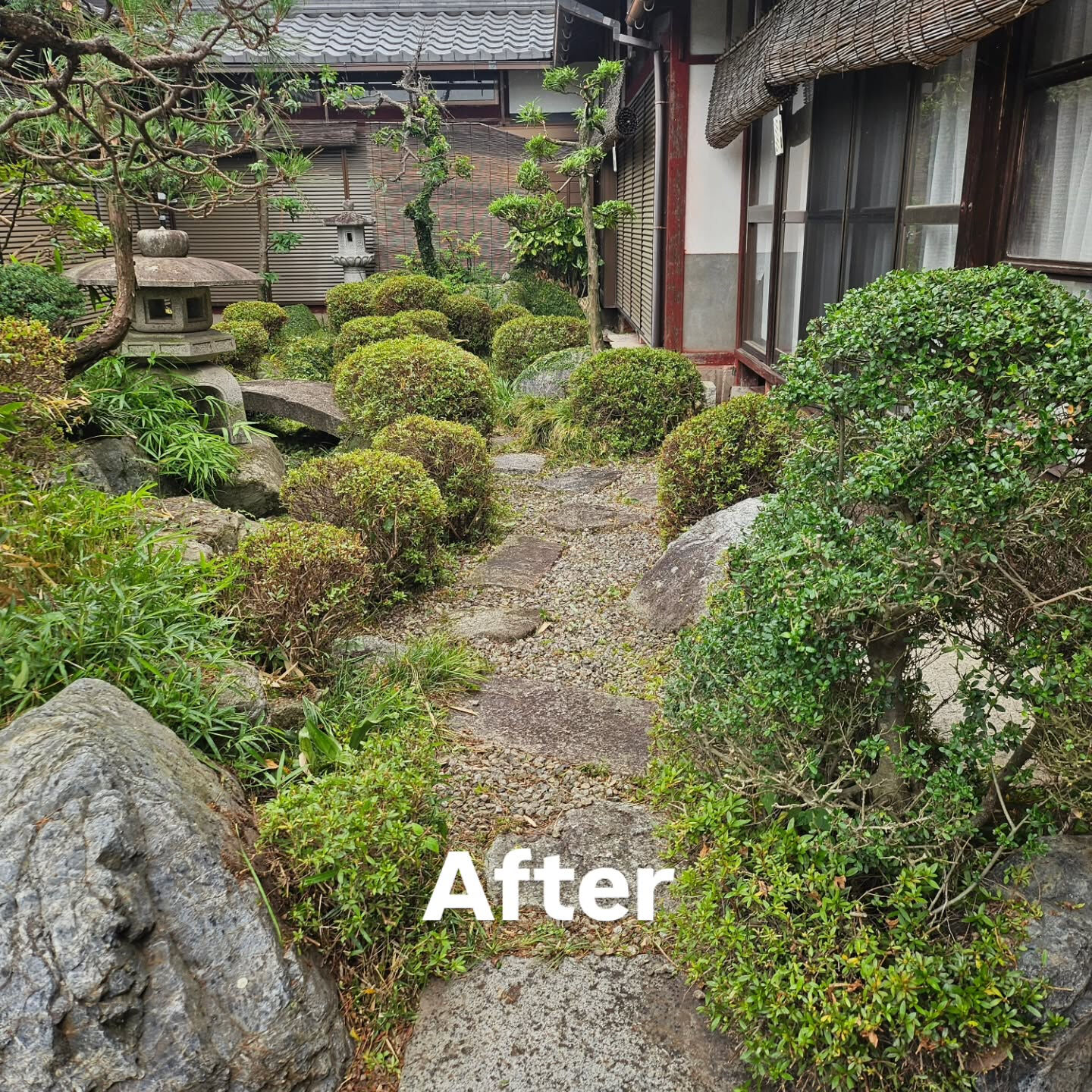 庭園管理　滋賀県彦根市にて庭園管理をさせていただきました