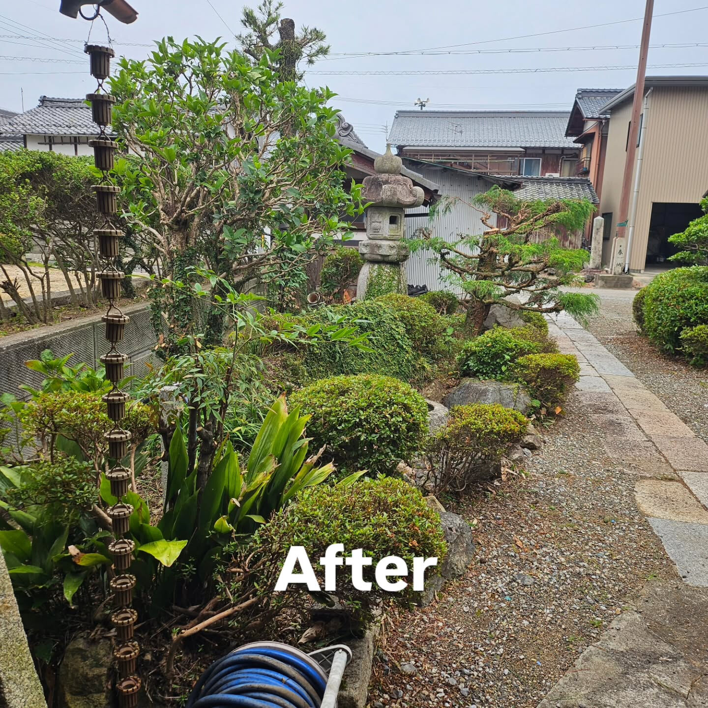 庭園管理　滋賀県彦根市にて庭園管理をさせていただきました