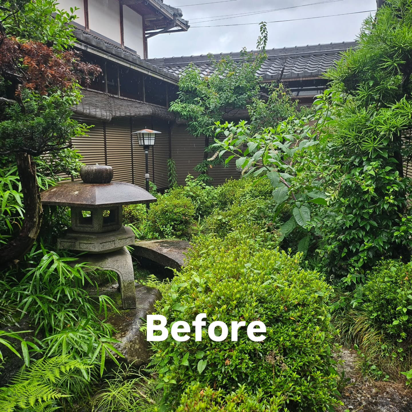 庭園管理　滋賀県彦根市にて庭園管理をさせていただきました