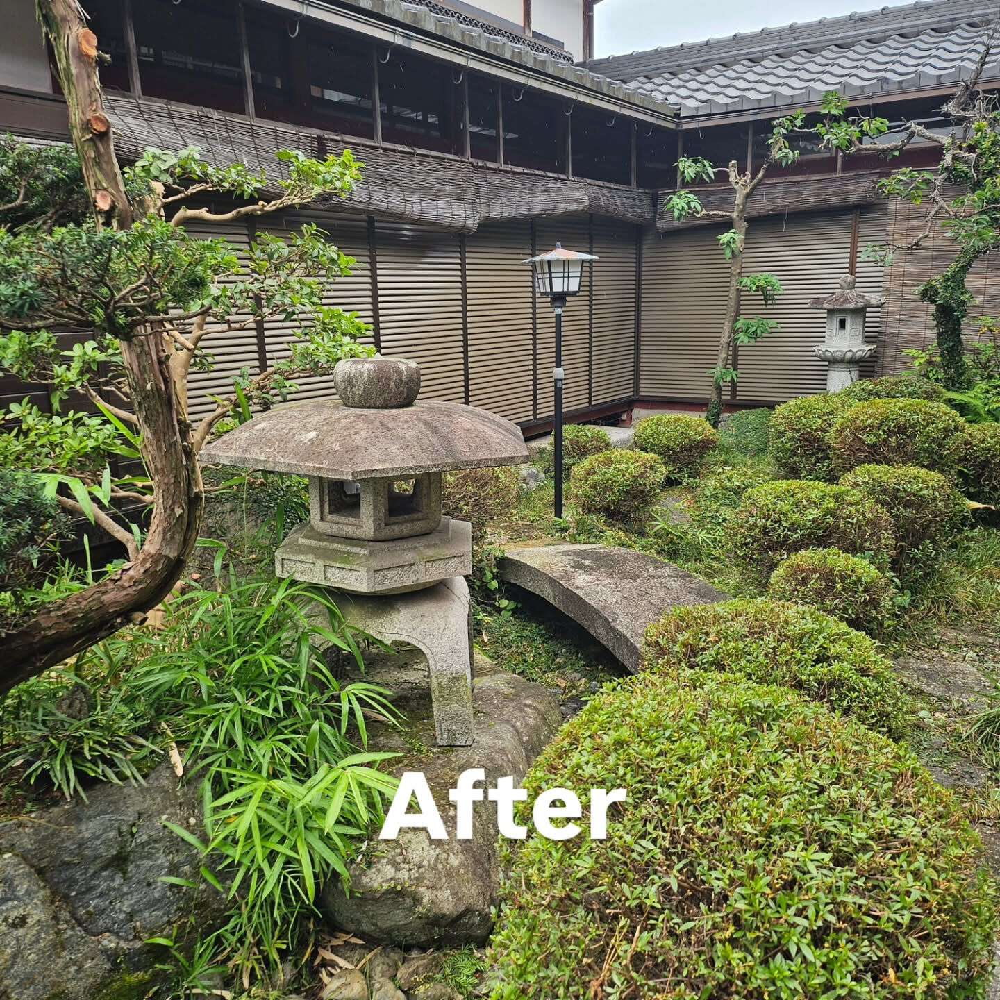 庭園管理　滋賀県彦根市にて庭園管理をさせていただきました