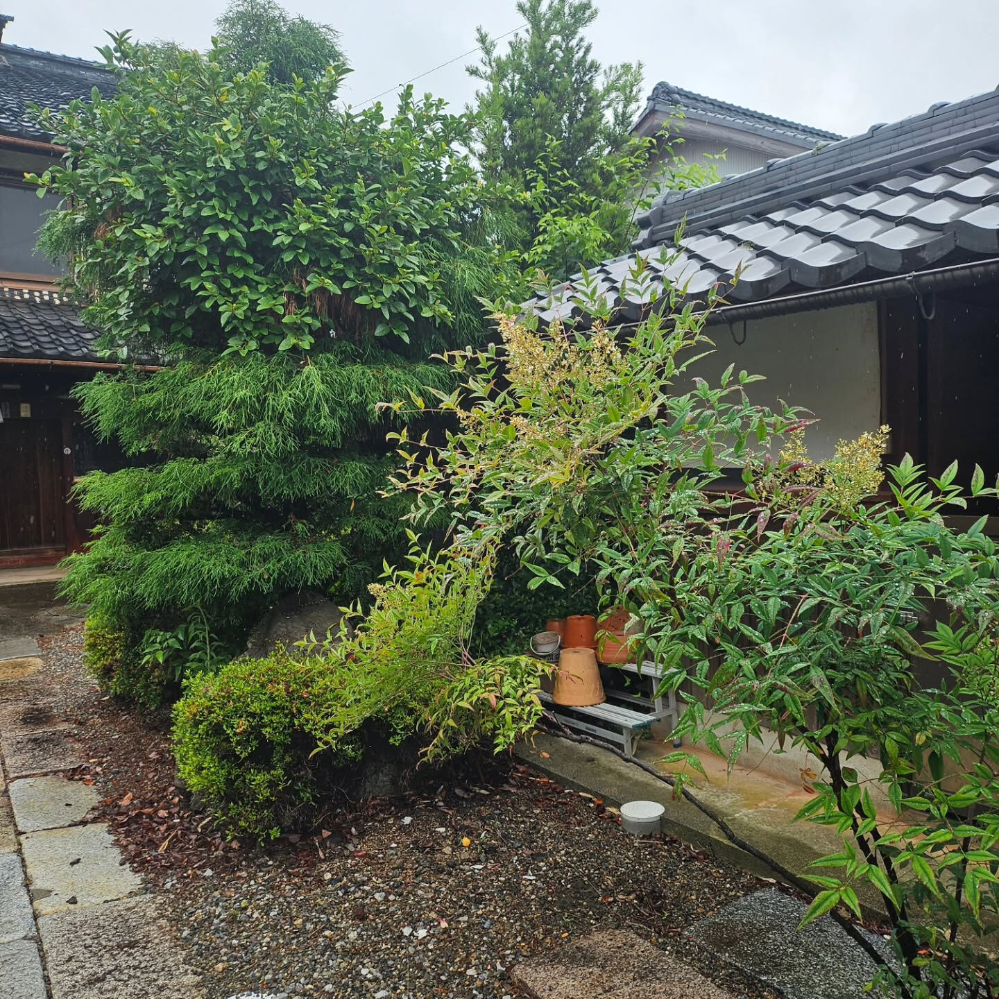 庭園管理　滋賀県彦根市にて庭園管理をさせていただきました