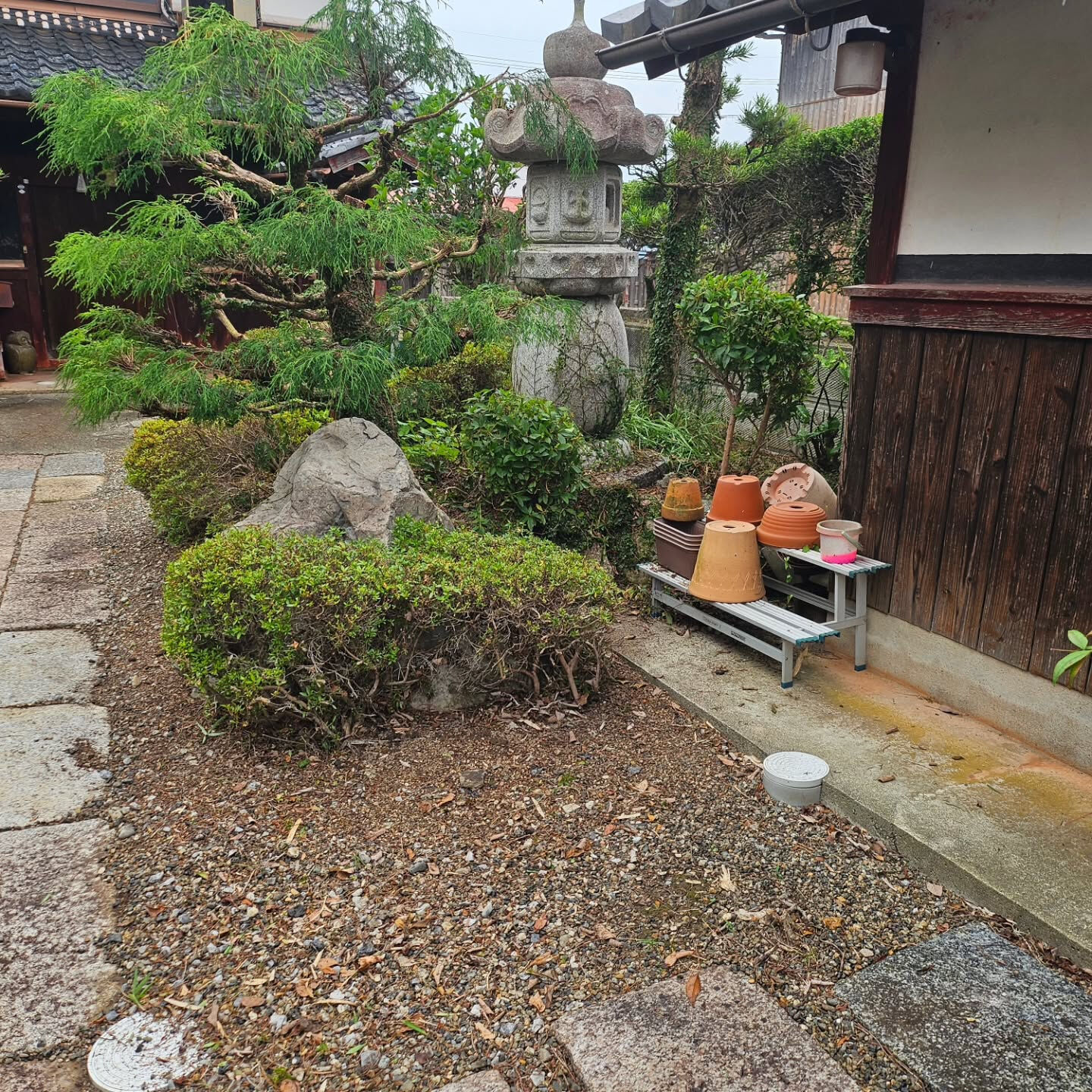 庭園管理　滋賀県彦根市にて庭園管理をさせていただきました