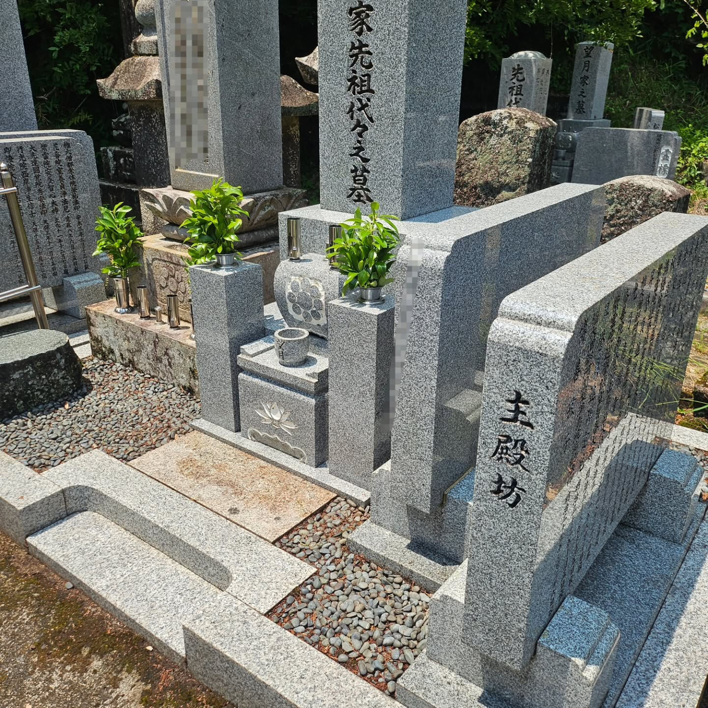 墓地清掃