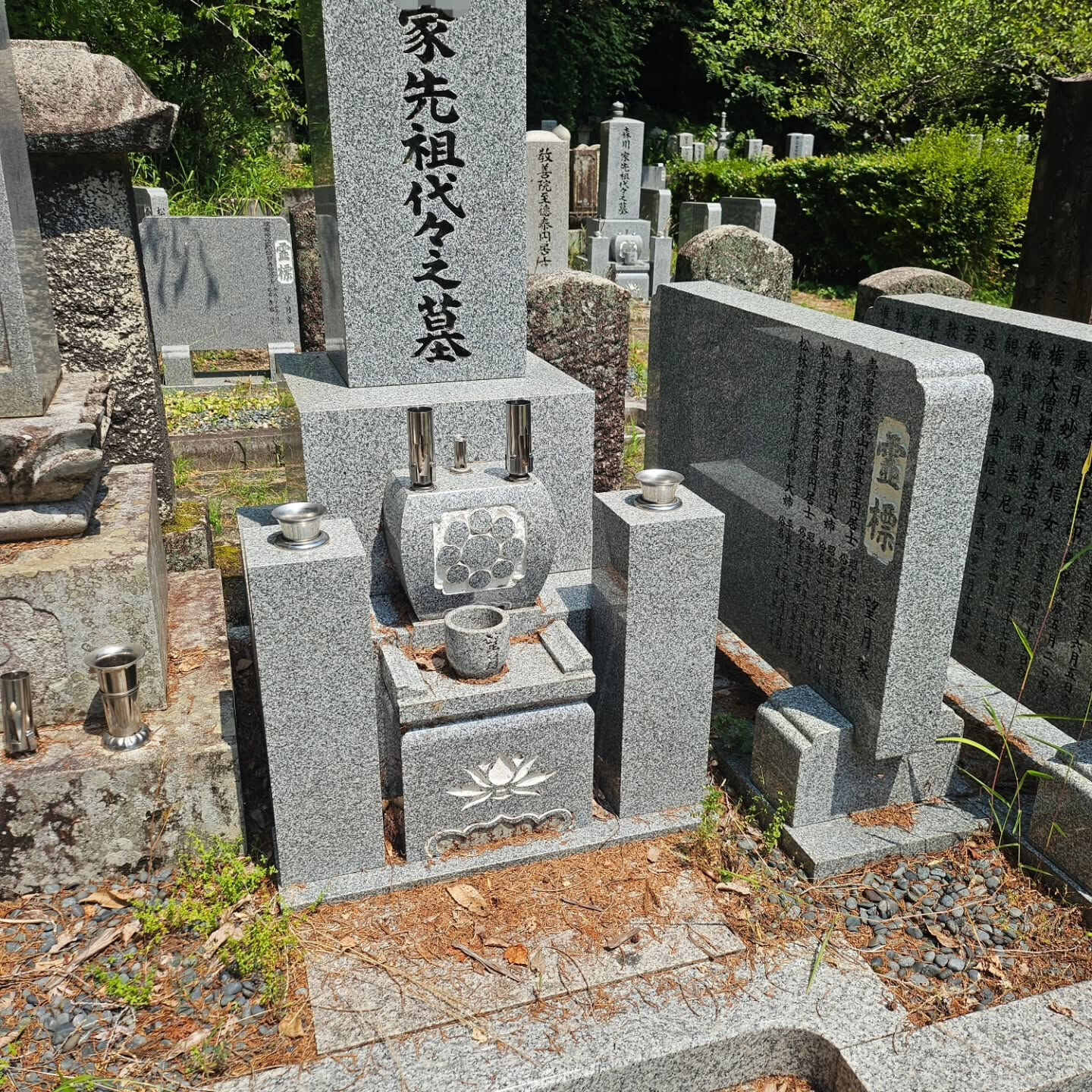 墓地清掃