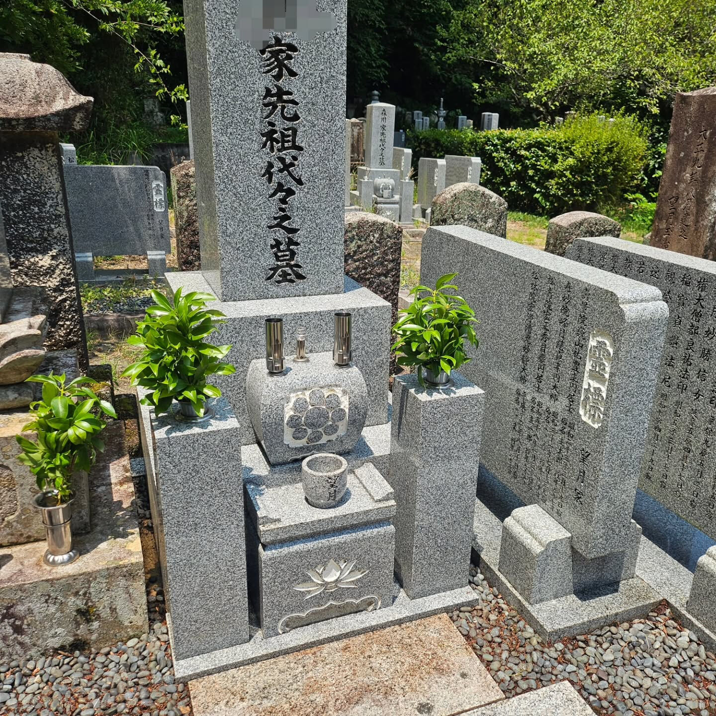 墓地清掃