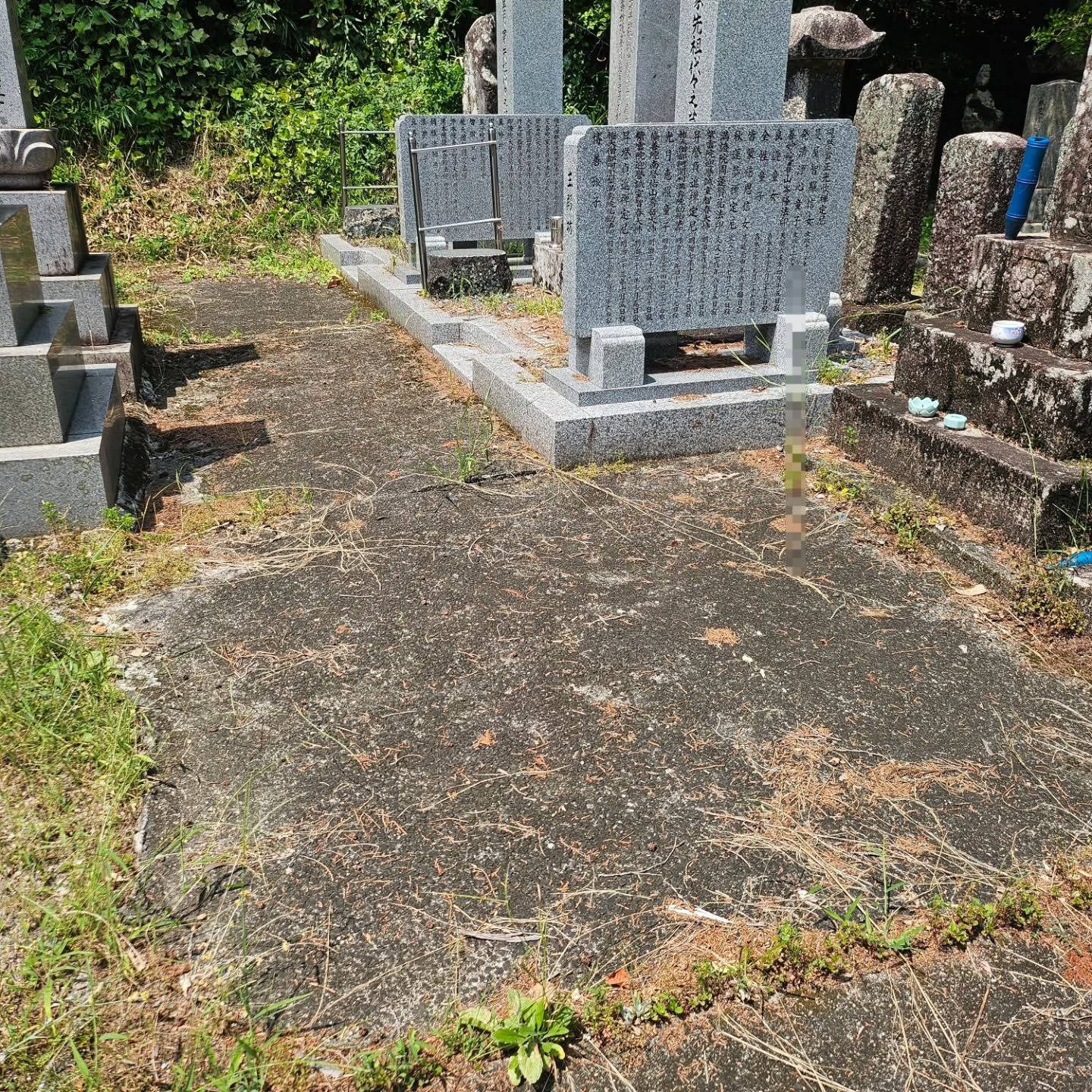 墓地清掃