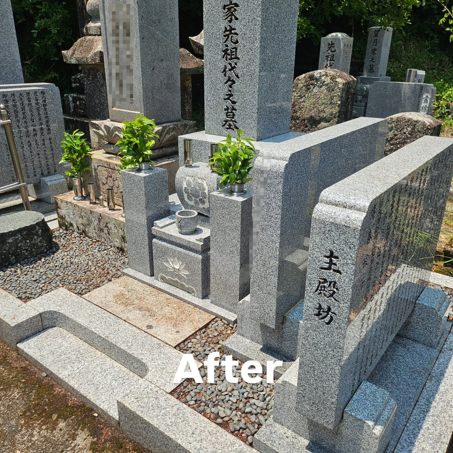 墓地清掃