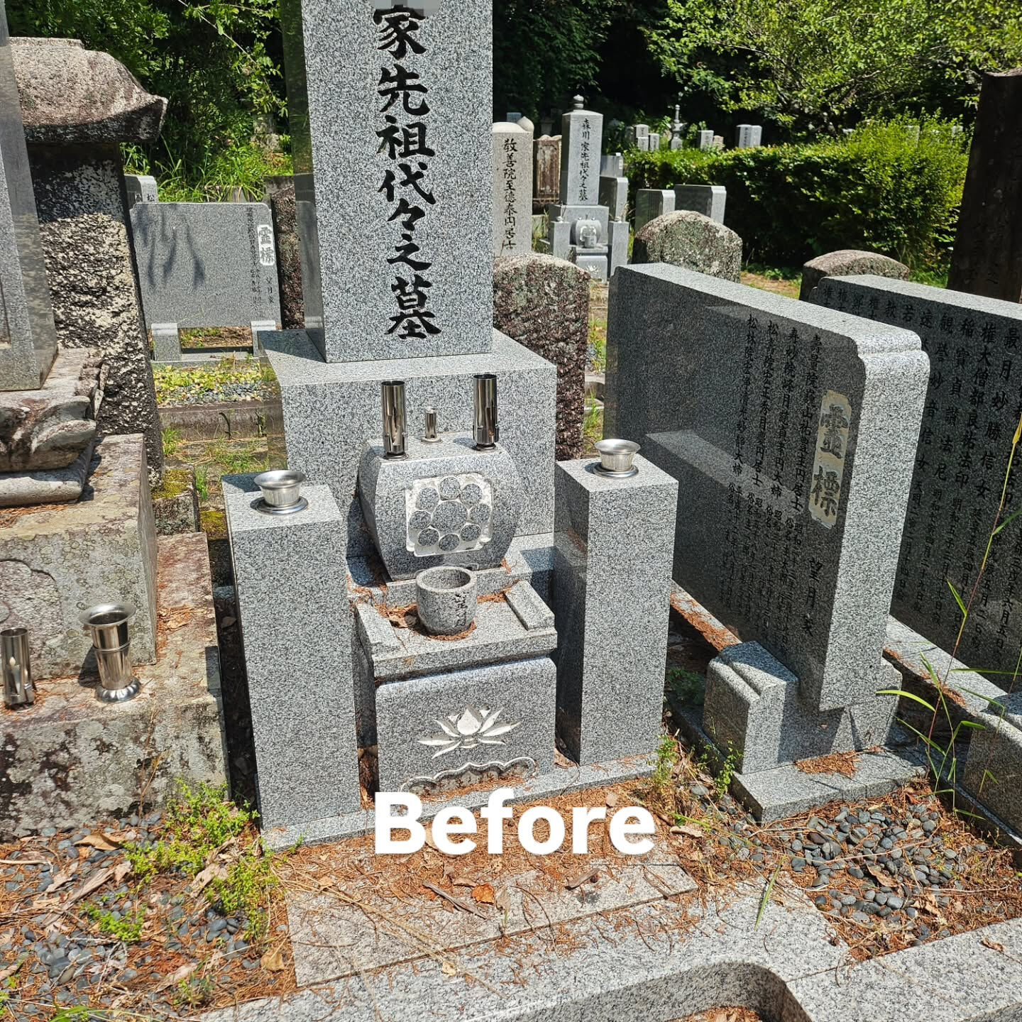 墓地清掃