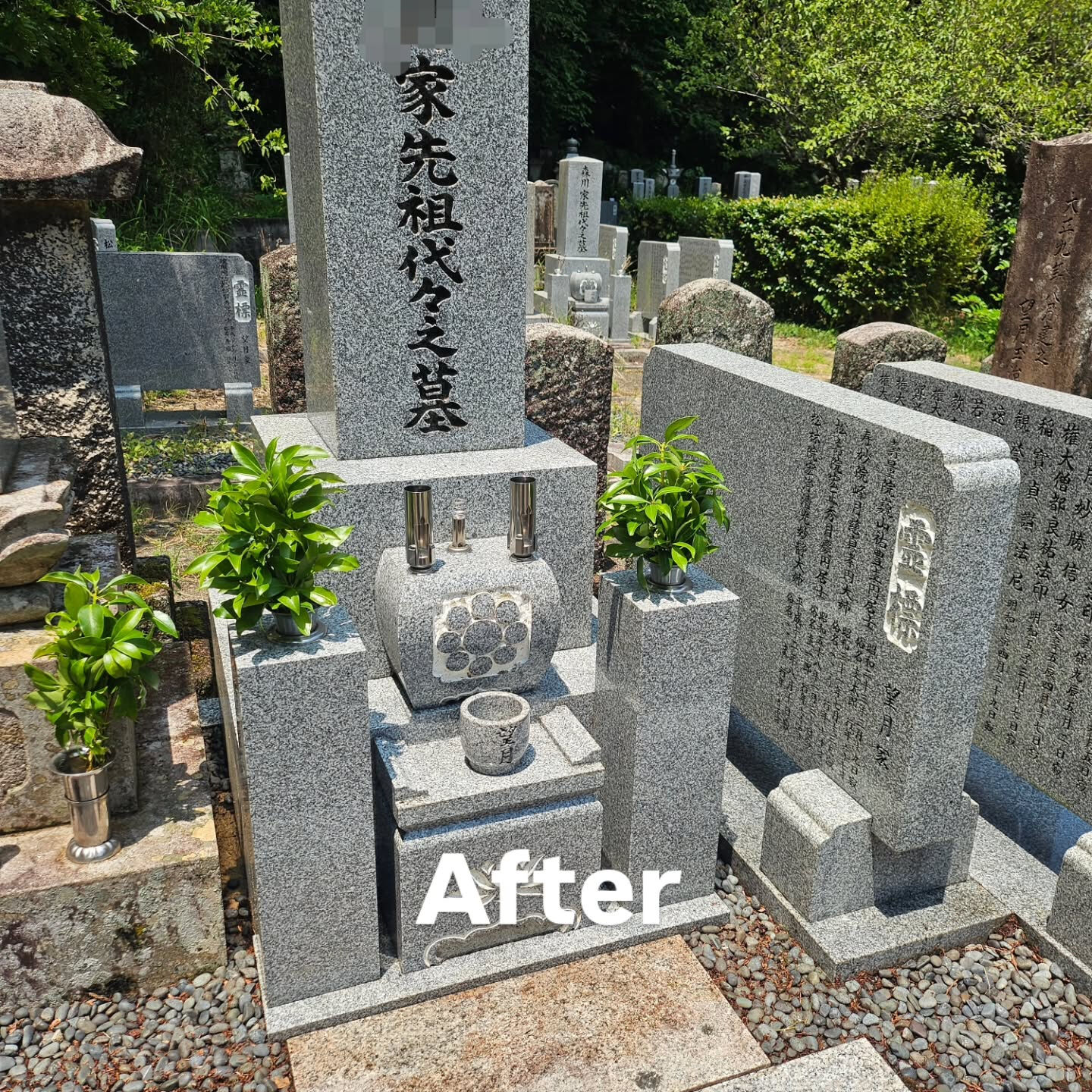 墓地清掃