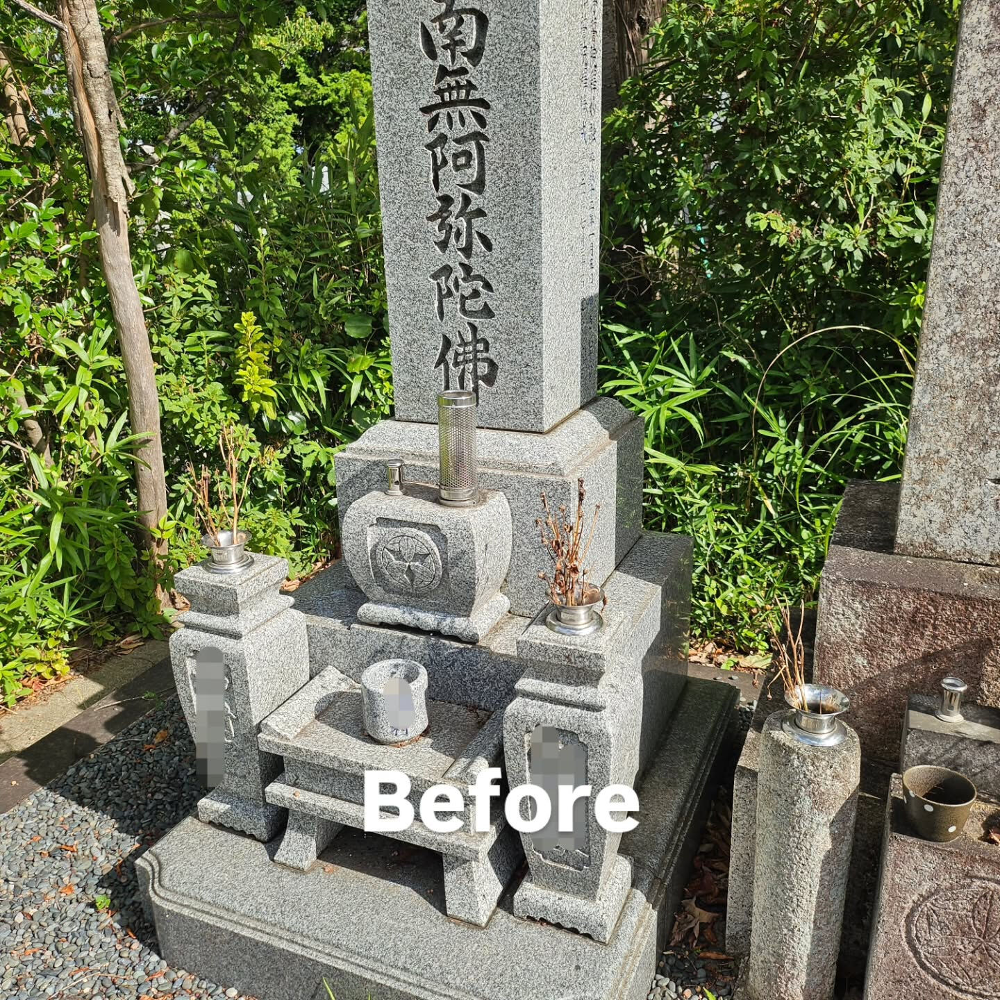 墓地清掃