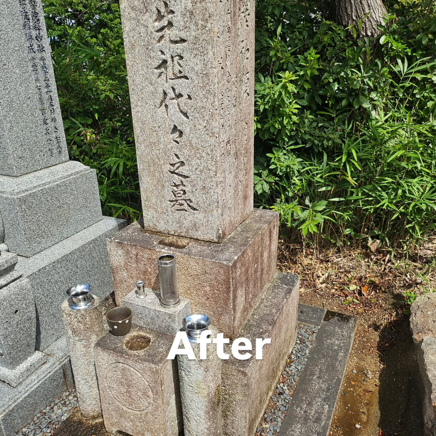 墓地清掃