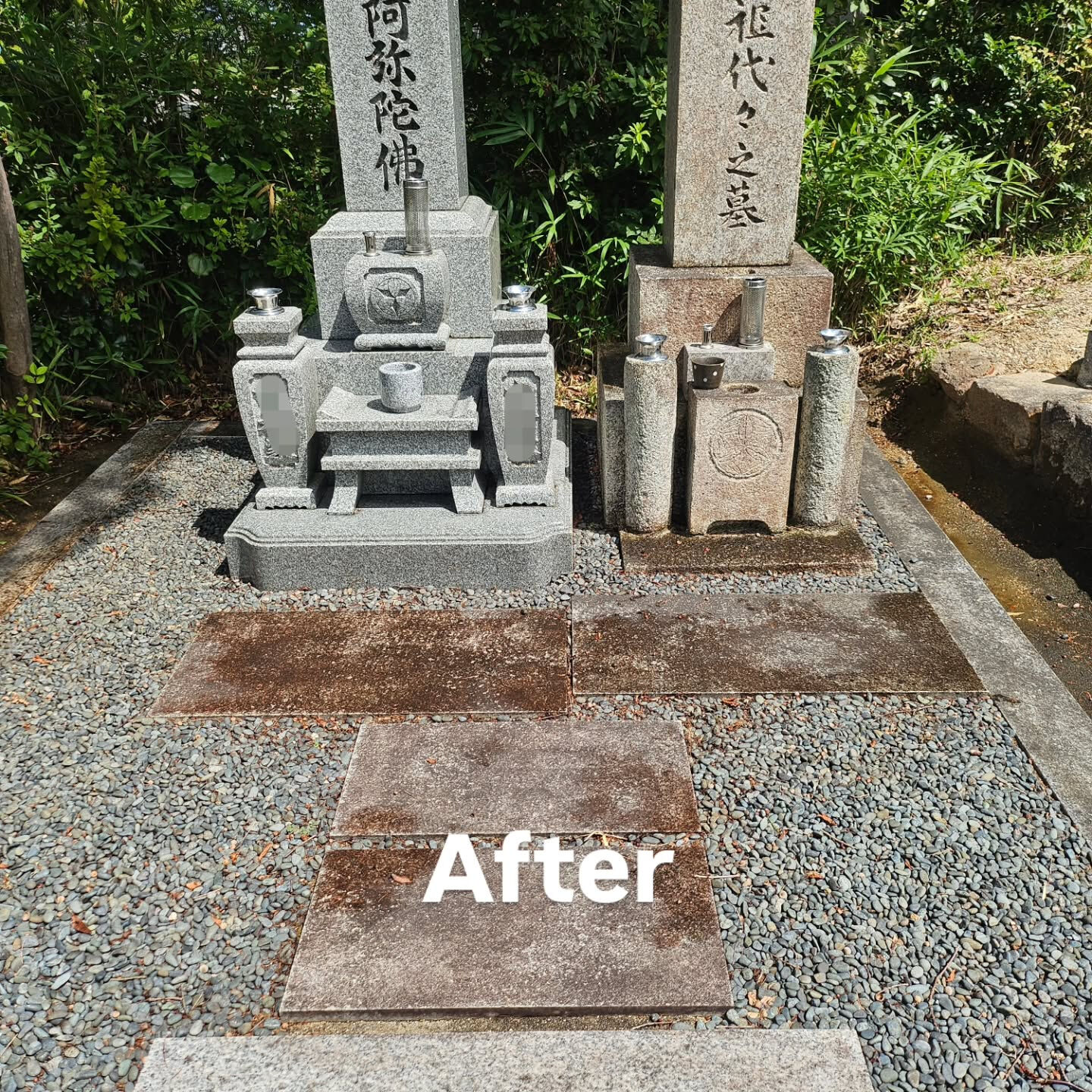 墓地清掃