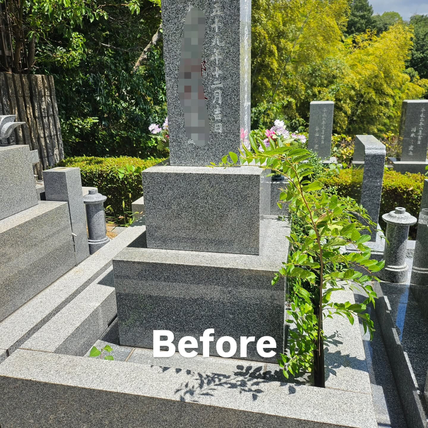 墓地清掃