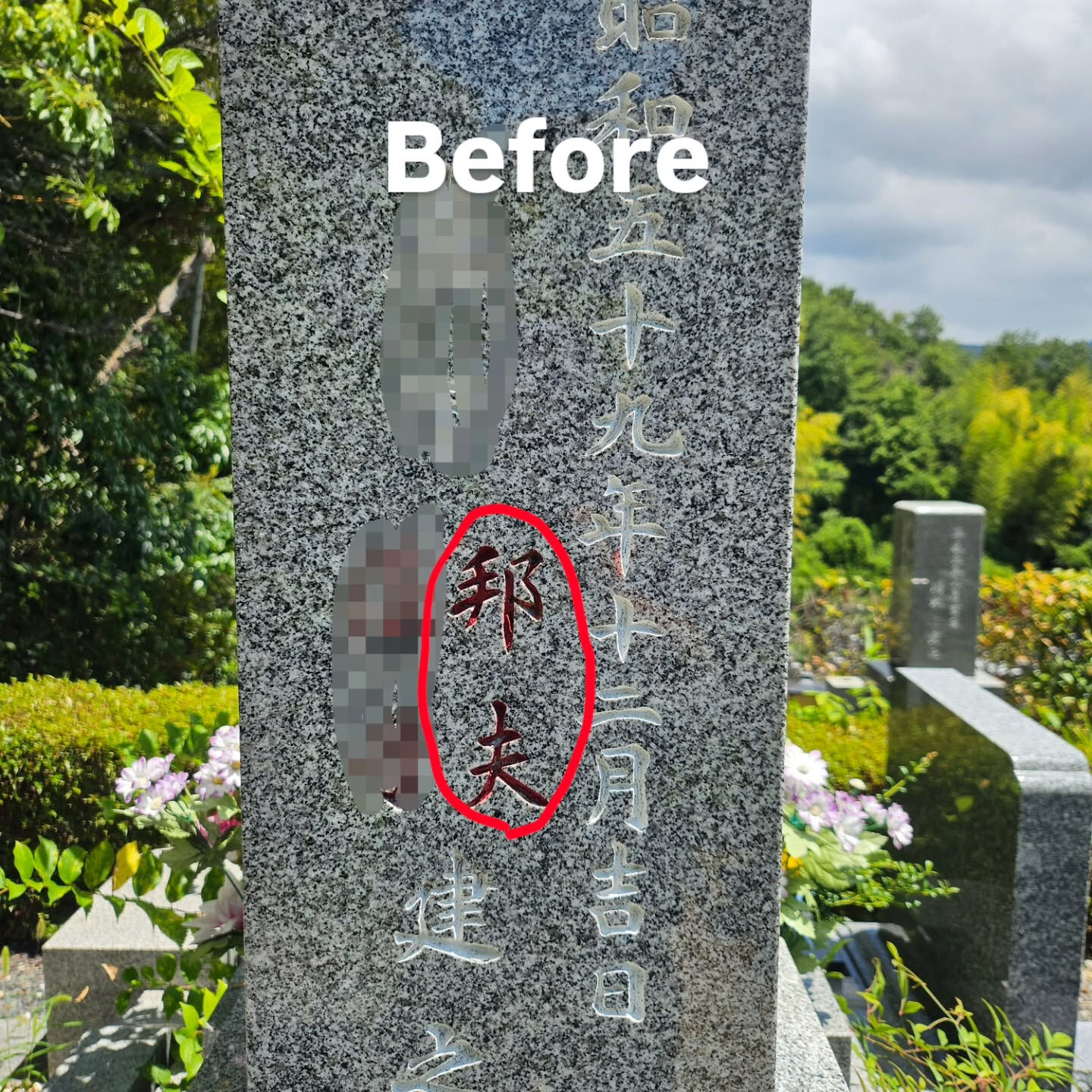 墓地清掃