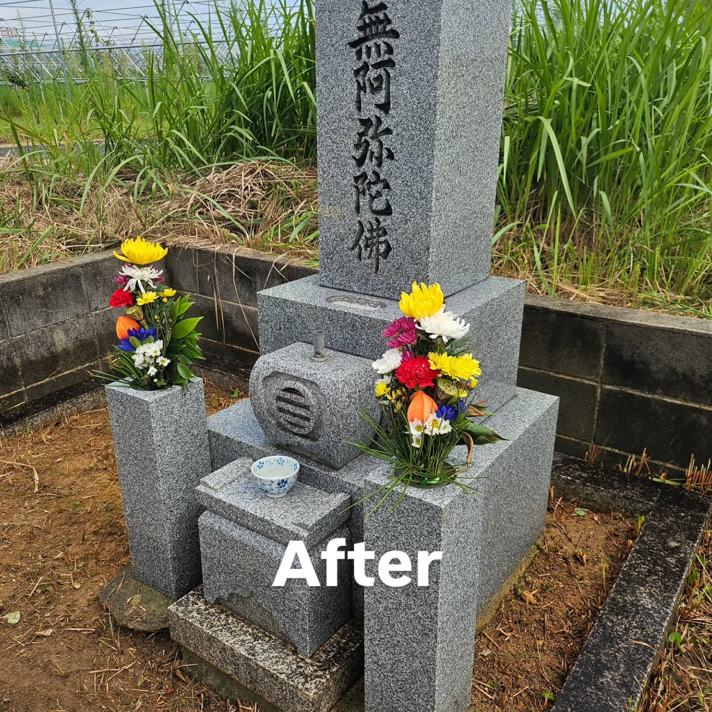 墓地清掃