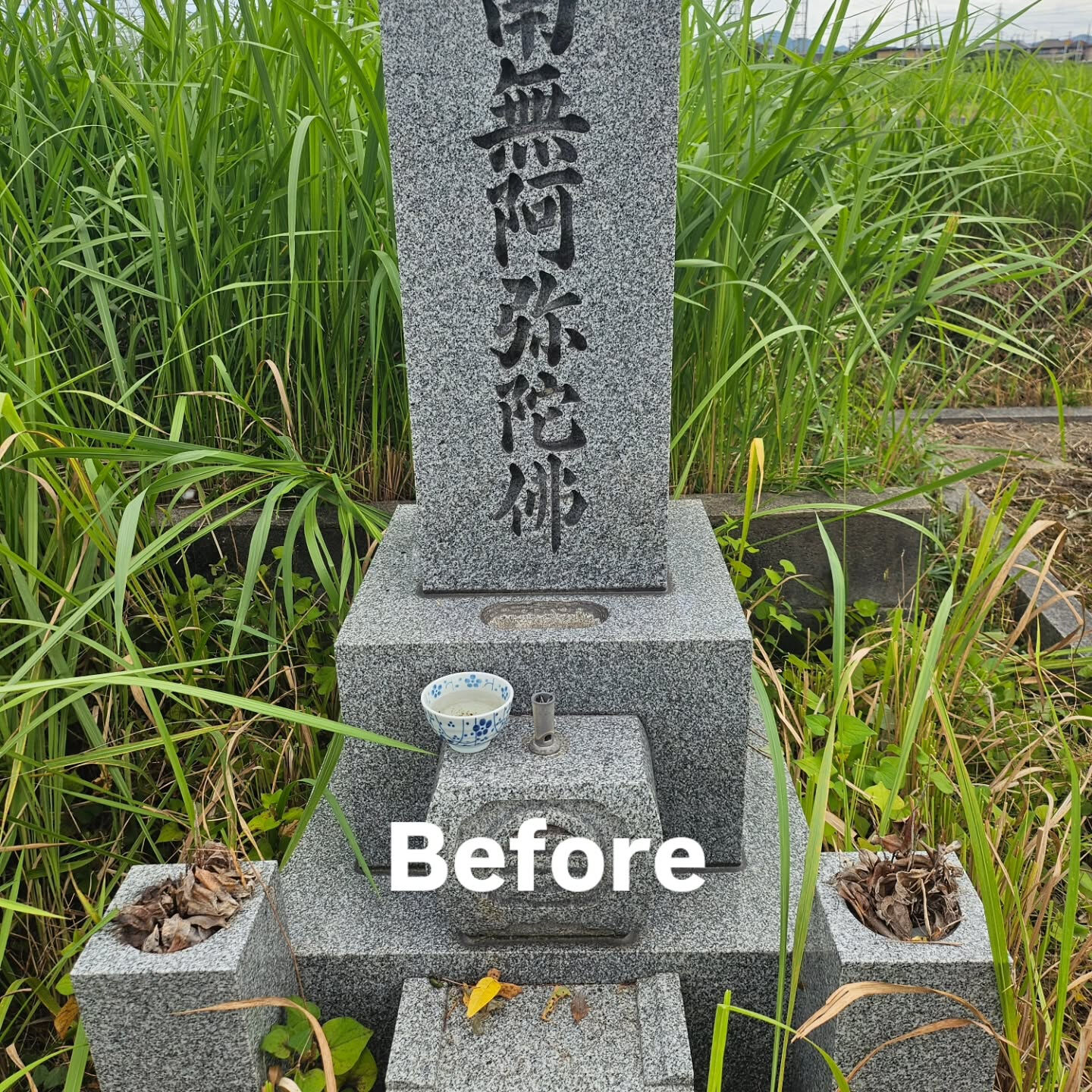 墓地清掃