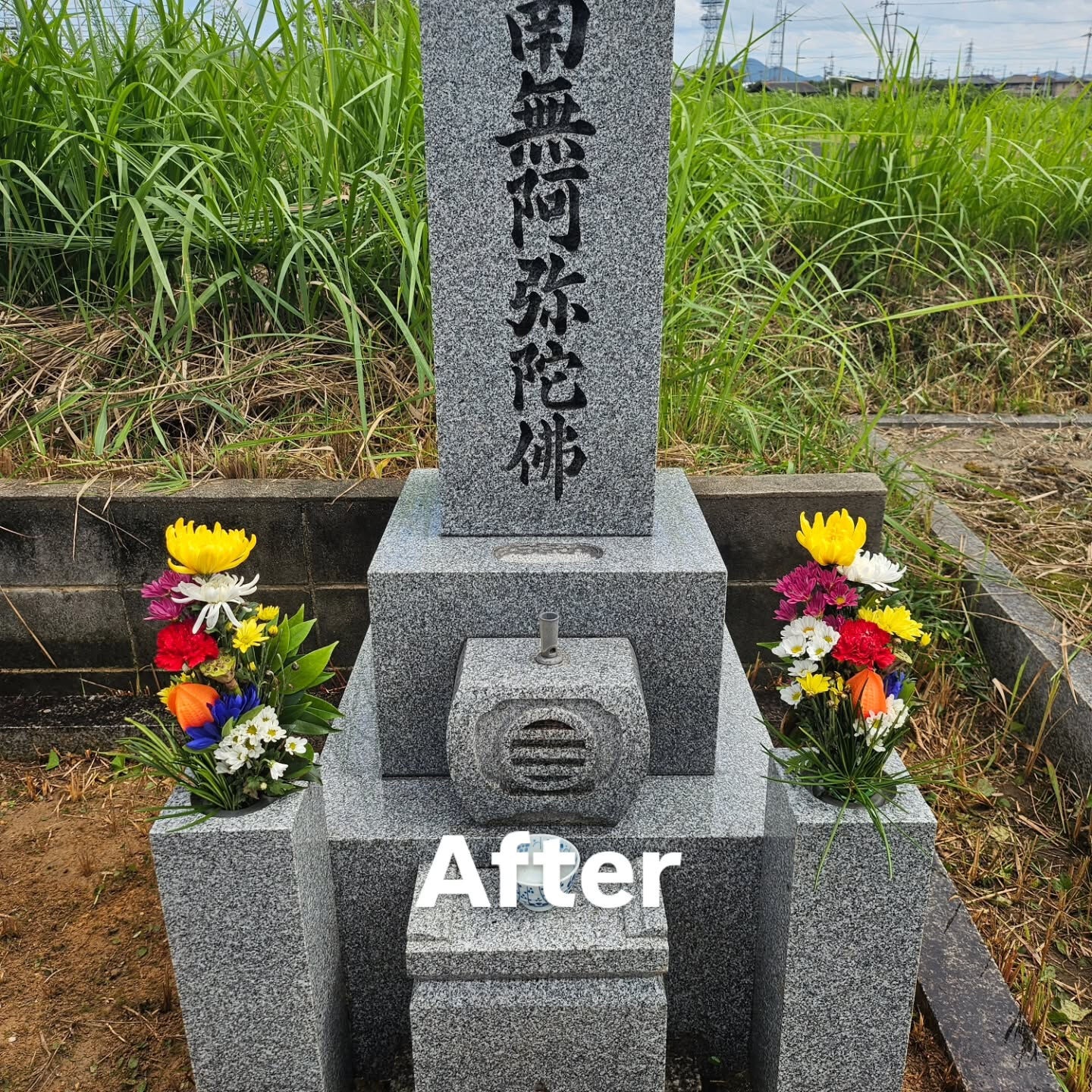 墓地清掃
